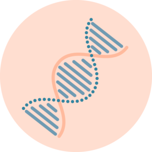 CGT Carrier Genetic Test