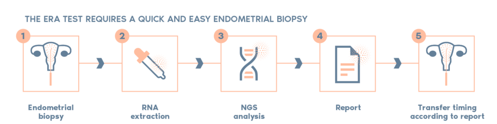 ERA® Endometrial Receptivity Analysis